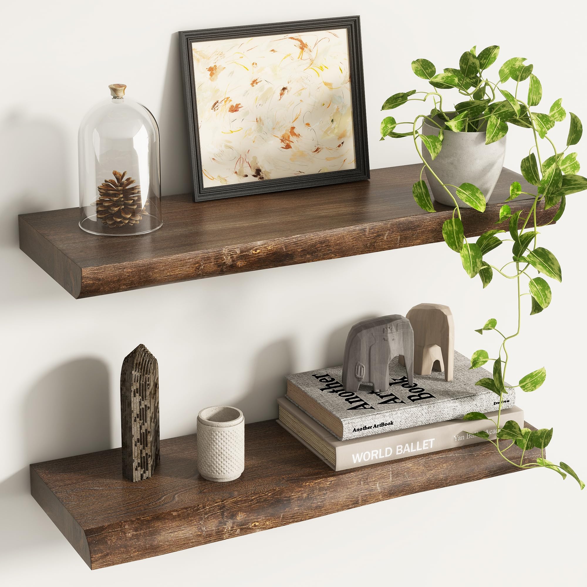 Live Edge Floating Shelves for Wall Decor, Solid Elm Wood Floating Shelves Wall Mounted, Rustic Wall Shelves with Invisible Bracket for Living Room Bathroom Bedroom Kitchen, 24 Inch Set of 2, Natural