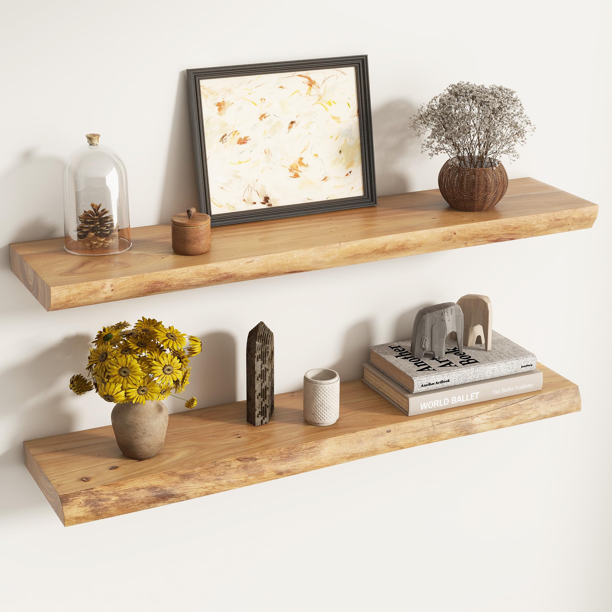 Live Edge Floating Shelves for Wall Decor, Solid Elm Wood Floating Shelves Wall Mounted, Rustic Wall Shelves with Invisible Bracket for Living Room Bathroom Bedroom Kitchen, 24 Inch Set of 2, Natural